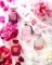 Victoria's Secret Bombshell Intense