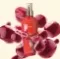 ever pure Mist  For women