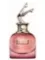 Scandal by Night Jean Paul Gaultier