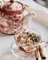 Natural Winter Tea Extract 