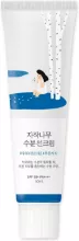 Round Lab Birch Moisturizing Sun Cream SPF50+ PA++++