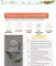 Eyenlip Salmon Oil Repair Eye Cream: 