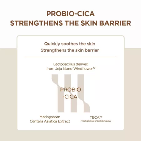 SKIN1004 Madagascar Centella Probio-Cica Intensive Ampoule